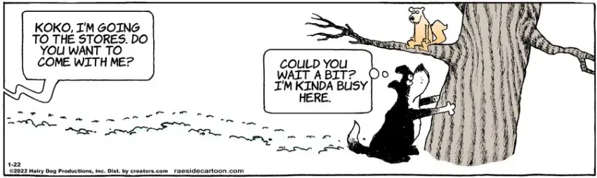 The Other Coast for Jan 22, 2022