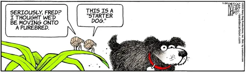 The Other Coast for Jan 24, 2022