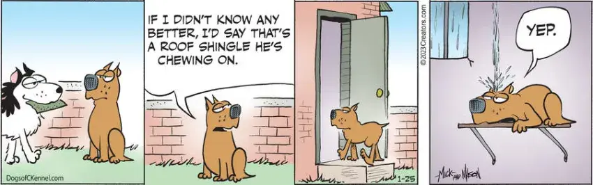 Dogs of C-Kennel for Jan 25, 2023