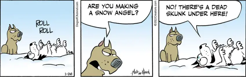 Dogs of C-Kennel for Jan 26, 2022