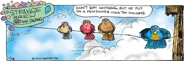 Strange Brew for Jan 28, 2024