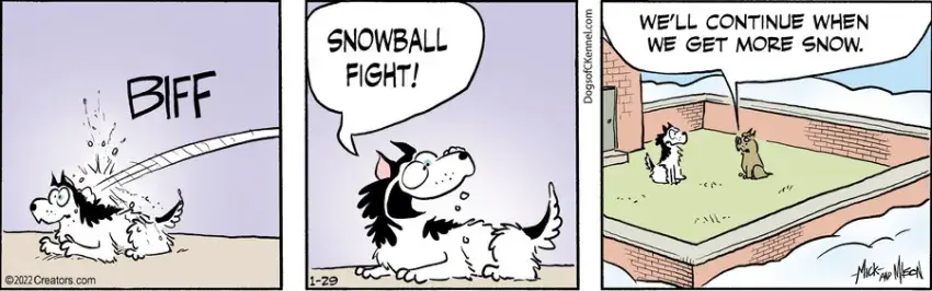 Dogs of C-Kennel for Jan 29, 2022