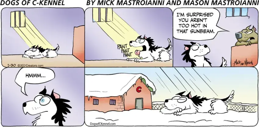 Dogs of C-Kennel for Jan 30, 2022