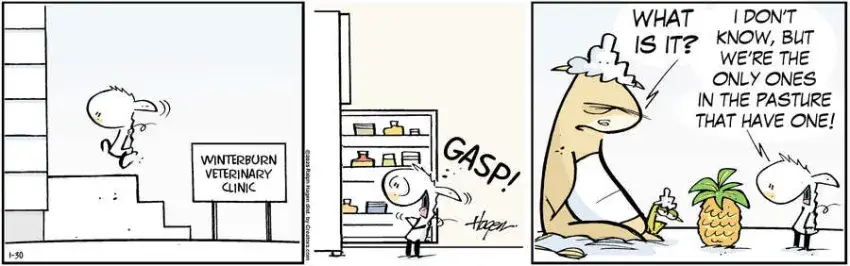 The Barn for Jan 30, 2025