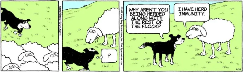 The Other Coast for Jan 31, 2022