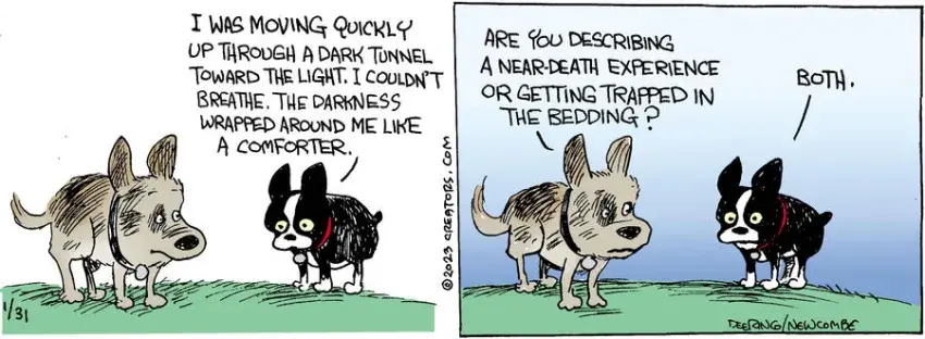 Zack Hill for Jan 31, 2023