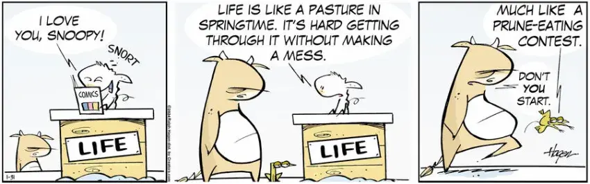 The Barn for Jan 31, 2024