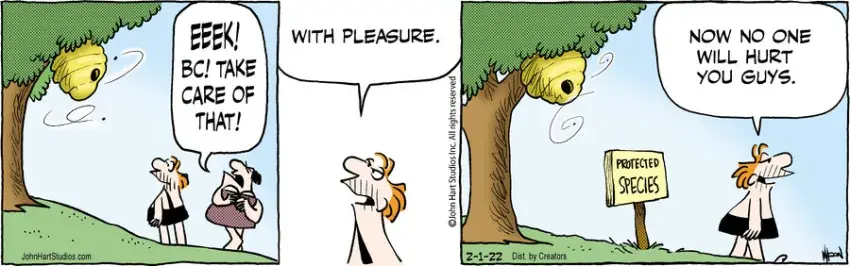 B.C. for Feb 01, 2022