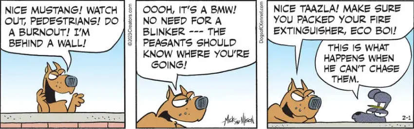 Dogs of C-Kennel for Feb 01, 2023