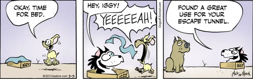 Dogs of C-Kennel for Feb 03, 2022