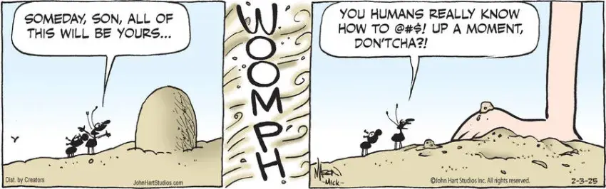 B.C. for Feb 03, 2025