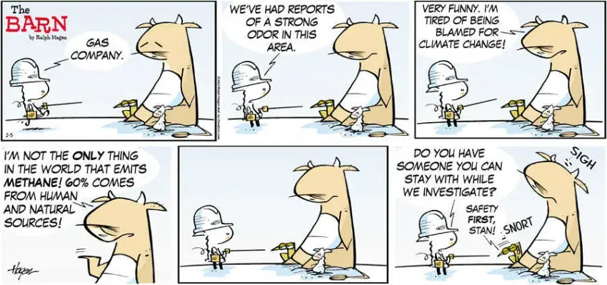 The Barn for Feb 05, 2023