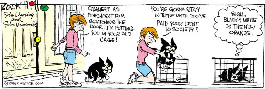 Zack Hill for Feb 06, 2022