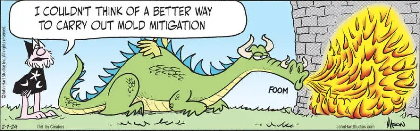 Wizard of Id for Feb 07, 2024