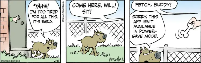 Dogs of C-Kennel for Feb 08, 2022
