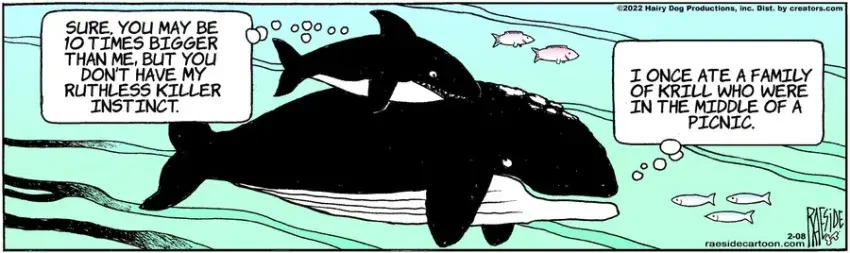 The Other Coast for Feb 08, 2022