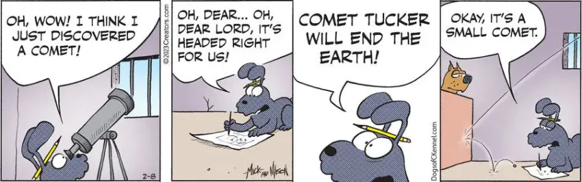 Dogs of C-Kennel for Feb 08, 2023