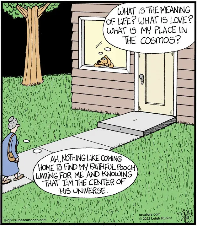 Rubes® for Feb 09, 2022