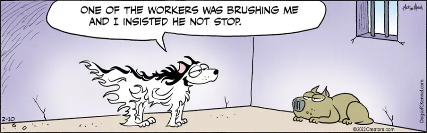 Dogs of C-Kennel for Feb 10, 2022