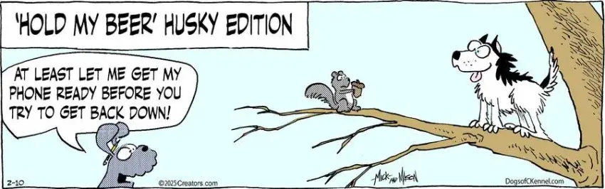 Dogs of C-Kennel for Feb 10, 2025