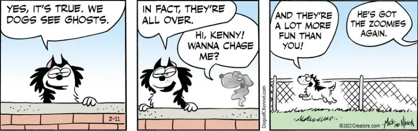 Dogs of C-Kennel for Feb 11, 2022
