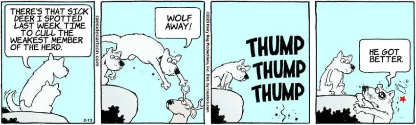 The Other Coast for Feb 13, 2023