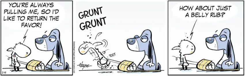 The Barn for Feb 13, 2024