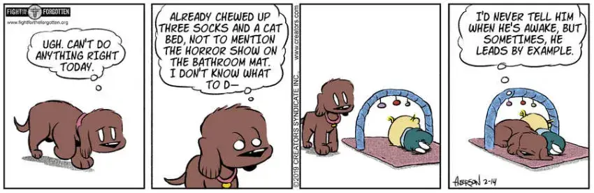 Dog Eat Doug for Feb 14, 2024