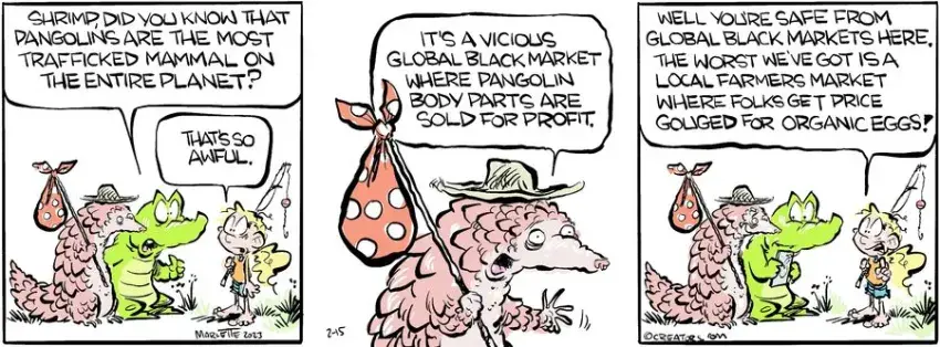 Shrimp and Grits for Feb 15, 2023