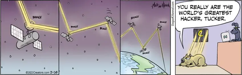 Dogs of C-Kennel for Feb 16, 2022