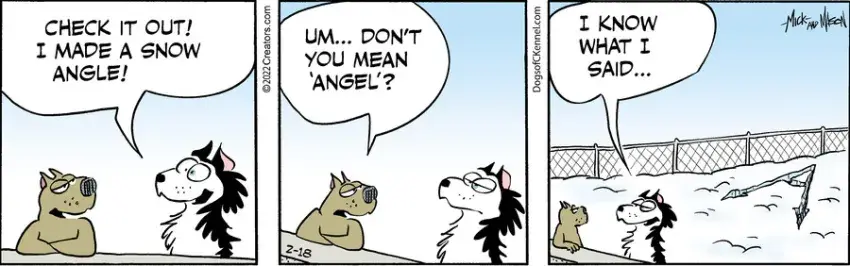 Dogs of C-Kennel for Feb 18, 2022