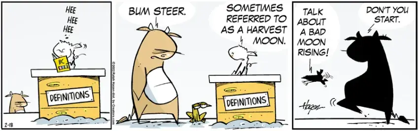 The Barn for Feb 18, 2022