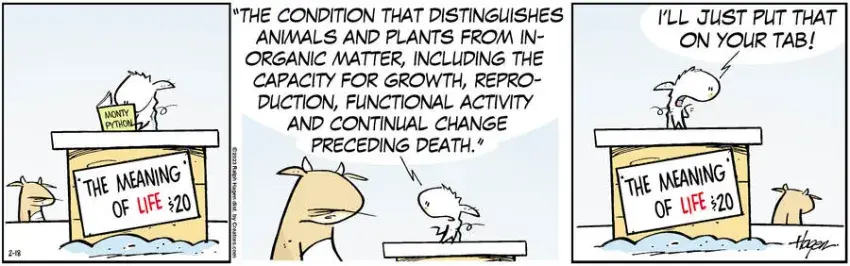 The Barn for Feb 18, 2023