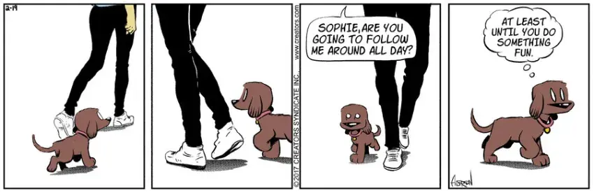 Dog Eat Doug for Feb 19, 2022