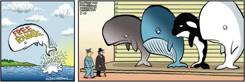 Free Range for Feb 19, 2023