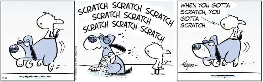 The Barn for Feb 21, 2024