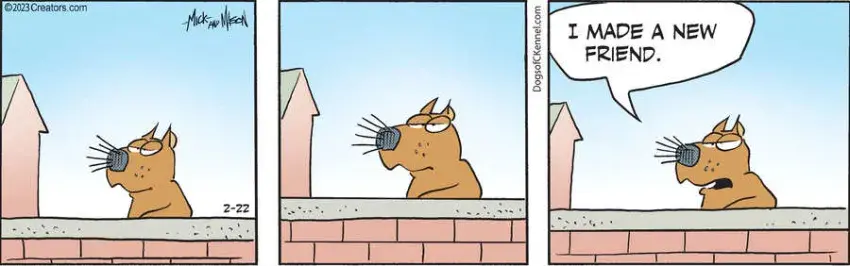 Dogs of C-Kennel for Feb 22, 2023