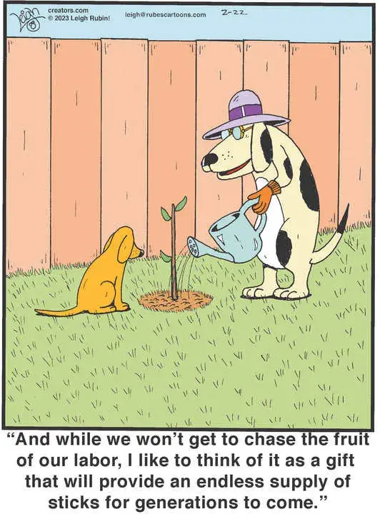 Rubes® for Feb 22, 2023