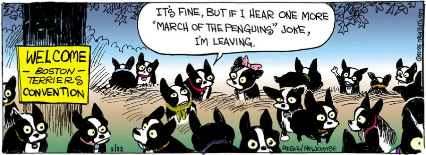 Zack Hill for Feb 22, 2025