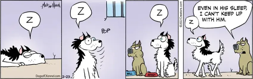 Dogs of C-Kennel for Feb 23, 2022