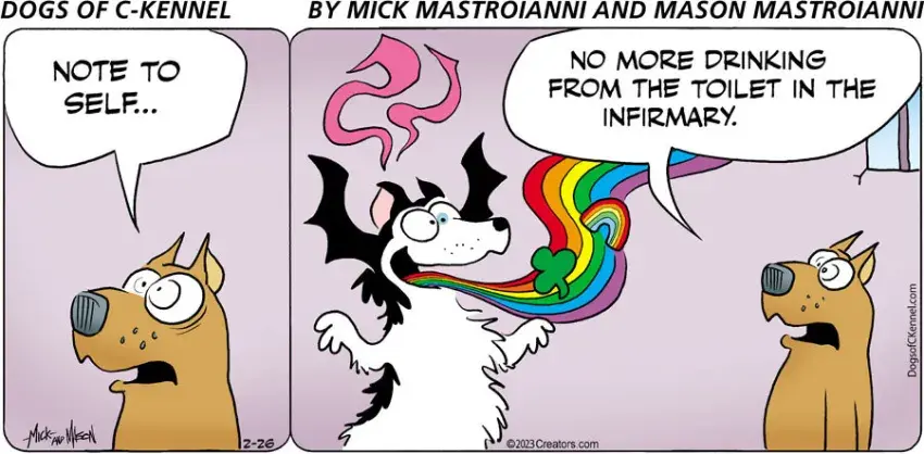 Dogs of C-Kennel for Feb 26, 2023