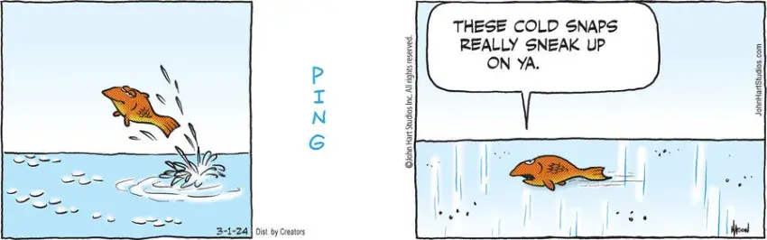 B.C. for Mar 01, 2024