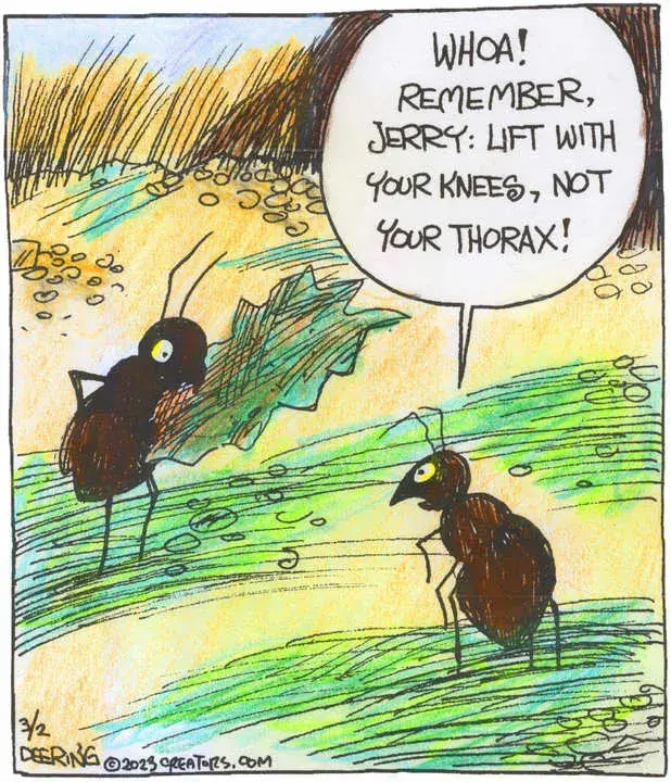 Strange Brew for Mar 02, 2023