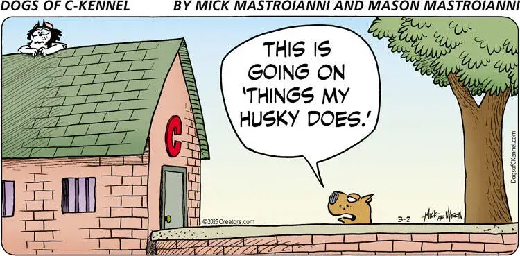 Dogs of C-Kennel for Mar 02, 2025