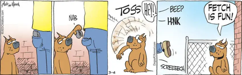 Dogs of C-Kennel for Mar 04, 2025