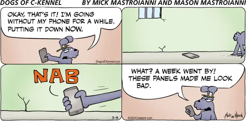 Dogs of C-Kennel for Mar 05, 2023