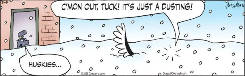 Dogs of C-Kennel for Mar 06, 2023