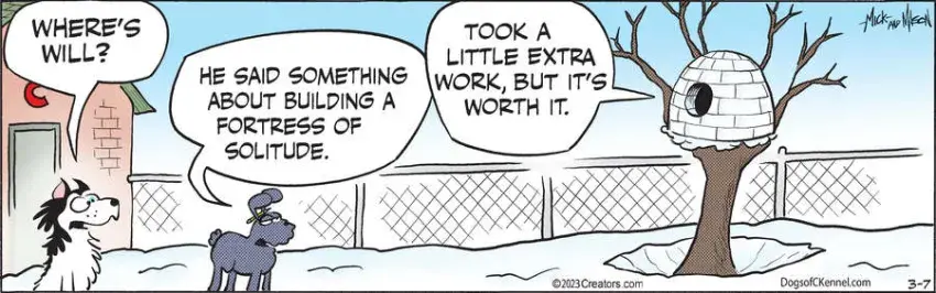 Dogs of C-Kennel for Mar 07, 2023