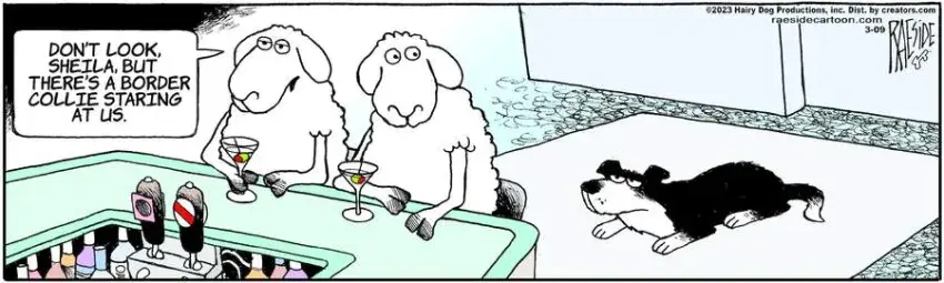 The Other Coast for Mar 09, 2023