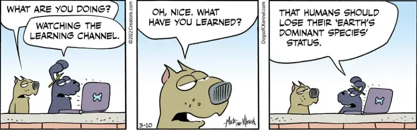 Dogs of C-Kennel for Mar 10, 2022